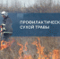 16 апреля на Синюшиной горе проводят отжиги сухой травы - Weacom.Ru