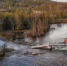 4354394.png - IrkutskMedia.Ru
