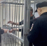 Мужчина, который натравил пса на ребенка в Тайшете, заключен под стражу 21 - Rayon.Irk.Today