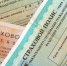 ОСАГО: что такое короткие полисы и как работает дистанционное урегулирование убытков? - Сибирские новости