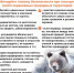 Медведи на Кругобайкальской железной дороге - Заповедное Прибайкалье