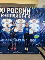 Россыпь медалей