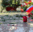Гвоздика. Память Юлия Ушакова, ИА IrkutskMedia - IrkutskMedia.Ru