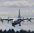 Установлена причина авиакатастрофы Ан-12 у Пивоварихи в 2021 году - ИА Альтаир