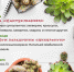 Выставка кактусов приглашает иркутян познакомиться с редкими видами суккулентов - Газета Иркутск