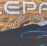 Chery запустила еще один суббренд - Weacom.Ru