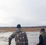 В Забайкалье спасли косулю на озере в природном парке "Ивано-Арахлейский" - Baikal24.Ru
