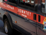 Следователи не установили факта присутствия детей при стриптизе в Приморье