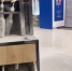 Кофейный автомат загорелся на третьем этаже в торговом центре «Сильвермолл» в Иркутске - ИА Альтаир