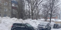 В Хабаровске выпало 149,62 процентов осадков от месячной нормы - Baikal24.Ru