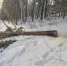 photo_2024-12-13_13-36-30 - УМВД Иркутской области