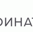 Студенты ИрГУПС стали победителями финала «Финалтон Форума» - ИрГУПС