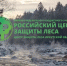 Филиал ФБУ «Рослесозащита» - «ЦЗЛ Иркутской области» - комплексный подход к защите лесов - Рослесозащита Иркутской области