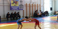 Всероссийские соревнования по вольной борьбе среди юношей до 18 лет пройдут в селе Оса Иркутской области - Сибирские новости