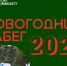 В Томске 1 января проведут новогодний забег на 2025 метров - Baikal24.Ru