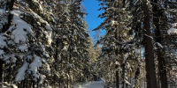 Небольшой снег ожидается в Иркутске 24 декабря - Baikal24.Ru