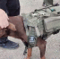 Зевс. Скриншот видео из телеграм-канала ОНФ в Иркутской области - Irk.Ru
