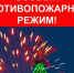 В Иркутской области введен особый противопожарный режим на период новогодних и рождественских праздников - МЧС Иркутской области