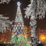 Елка в сквере Кирова. Фото Маргариты Романовой, IRK.ru - Irk.Ru