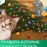Правила, которые помогут сделать Новый год безопасным! - Министерство жилищной политики, энергетики, транспорта и связи