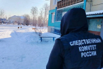 Экс-чиновника осудят за халатность при отлове животных в Тайшетском районе