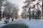 Переменная облачность установится в Иркутске в воскресенье, 19 января