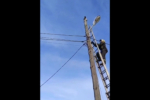 Обзор самых популярных новостей за 31 января