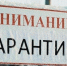 В кузбасском селе Ягуново установили карантин по бешенству - Baikal24.Ru