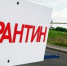 В поселке Бурятии ввели карантин из-за бешенства - Baikal24.Ru