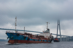 Роспотребнадзор проверяет рыбу и морепродукты Черного моря