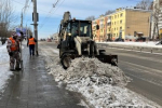 В "Горзеленхозе" в Иркутске начали срезку цветов на Международный женский день