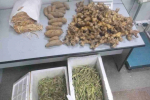В Иркутске у иностранца изъяли 37 кг незадекларированных продуктов