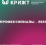 Профессионалы-2025. Юниоры. - ИрГУПС