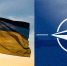 Украина, НАТО и Ходжа Насреддин - Иркутская торговая газета