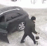 Омич выбросил собаку из автомобиля и уехал - Baikal24.Ru