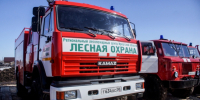 Игорь Кобзев отчитался об итогах борьбы с лесными пожарами в Приангарье за 5 лет - IrkutskMedia.Ru