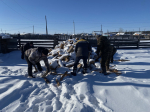 Благодарность за помощь