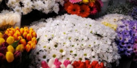 Губернатор Иркутской области Игорь Кобзев поздравил женщин с 8 Марта - IrkutskMedia.Ru
