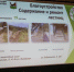 Более 130 объектов обустроили в Октябрьском округе Иркутска в 2024 году - Сибирские новости