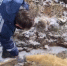 В Хомутово студенты-спасатели откачивают воду из подвалов подтопленных домов - КП-Иркутск