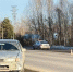 Около Назарово косуля бросилась под машину - Baikal24.Ru