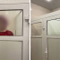 В иркутском техникуме поставили двери с окнами в туалете - КП-Иркутск