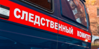 Лицо полуторагодовалой девочки было изуродовано после нападения ротвейлера в Тайшете - IrkutskMedia.Ru
