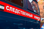 Лицо полуторагодовалой девочки было изуродовано после нападения ротвейлера в Тайшете