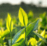 . - Перинатальный центр