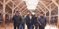Александр Ведерников: Поддержка аграриев – это вопрос сохранения села - ИА Альтаир