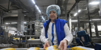 Объем производства молока и мяса растет в Иркутской области - КП-Иркутск