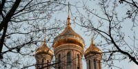 Красим яйца в последний момент: блестящие и стильные скорлупки - оригинальный способ - IrkutskMedia.Ru