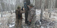 Под Красноярском полицейские задержали черного лесоруба - Baikal24.Ru