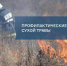 Понедельник в Свердловском округе Иркутска будет огненным и дымным - Baikal24.Ru